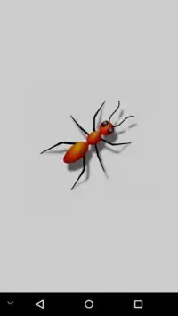 Ant Killer new & faster game Screen Shot 6