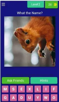 Animal Quiz: Test Your Knowledge of Animals Screen Shot 4
