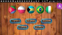Flags of the World Continents New Geography Quiz Screen Shot 0
