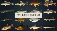 Реальная Русская Рыбалка : Рыболовный симулятор Screen Shot 3