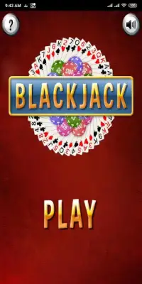 BlackJack Free Screen Shot 4