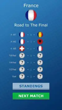 Euro Championship Penalty 2016 Screen Shot 14