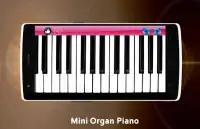 Mini Organ Piano Screen Shot 3