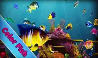 Go Fish Farming-Virtual Aquarium Screen Shot 1