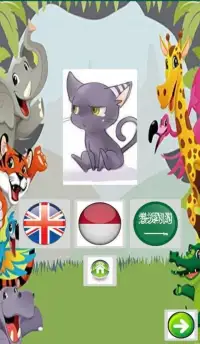 Practice Animal (English, Arabic, Bahasa) Screen Shot 0