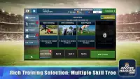 Soccer Manager 2018 - Special Edition Screen Shot 1