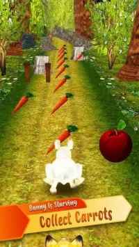 Forest Bunny Run :Bunny Game Screen Shot 0