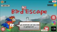 Bird Escape Fantasy Screen Shot 7