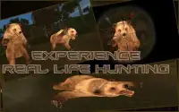 berburu beruang: sniper 3d Screen Shot 0