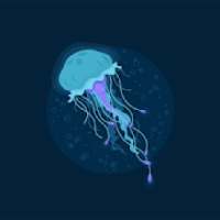 Jellyfish Play