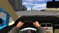 Linea Driving Simulator Screen Shot 1