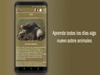 Adivinanzas de Animales- Quiz Juego Gratis Screen Shot 5