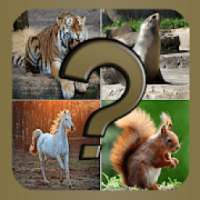 Adivinanzas de Animales- Quiz Juego Gratis