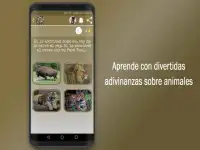 Adivinanzas de Animales- Quiz Juego Gratis Screen Shot 4
