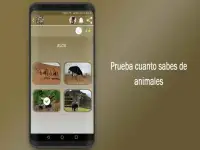 Adivinanzas de Animales- Quiz Juego Gratis Screen Shot 2