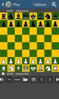 Chess Master 72 Screen Shot 5