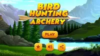 Birds Hunting Archery Game Screen Shot 6
