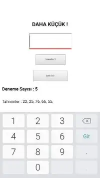 Sayı Tahmini Screen Shot 2