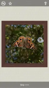 Butterflies Puzzles - 101 pictures Screen Shot 6