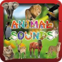 Animal Sounds & Animal Names