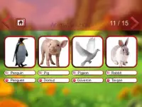 Animal Sounds & Animal Names Screen Shot 2