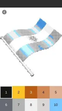 Pixel Art: 3D Flags World Coloring by Number Screen Shot 11