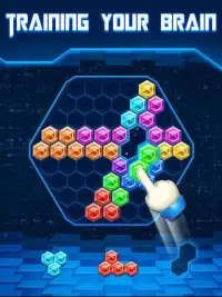 Block Puzzle Classic Hexagon Screen Shot 2