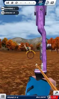 Archery World Champion 3D Screen Shot 7