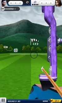 Archery World Champion 3D Screen Shot 3