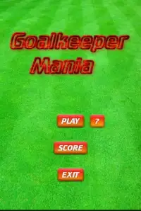 Goalkeeper Mania Soccer Game Screen Shot 2