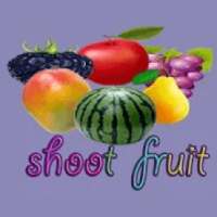 shoot fruit