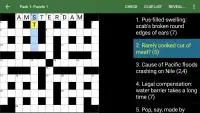 Cryptic Crossword Lite Screen Shot 16