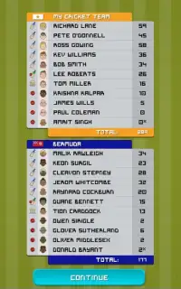 Nations Cup Cricket 2019 Screen Shot 0