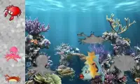 Fishes Puzzles for Toddlers -Puzzle Games for Kids Screen Shot 3