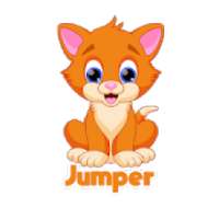 Cat Jumper