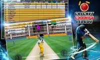 Cricket Champs League Screen Shot 1