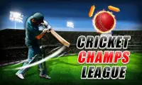 Cricket Champs League Screen Shot 4