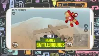 Pixel Heroes Royale Battleground Gun 3D Screen Shot 0