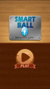 Smart Ball Box Puzzle Screen Shot 4