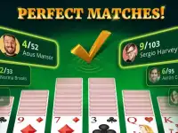 Solitaire Pros Screen Shot 1