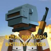 Pixelmon Battlegrounds Maze