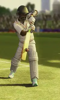 Cricket 2019 Screen Shot 0