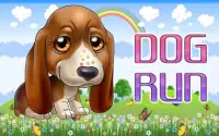 Puppy Dog Run and Jump*Pet Dog Game Screen Shot 5