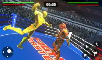 Robot Ring Fighting SuperHero Robot Fighting Game Screen Shot 2