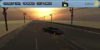 Traffic Race Screen Shot 5