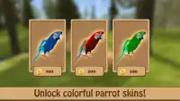 Birdy Pet - Parrot Life Simulator Screen Shot 2