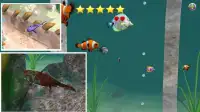 Fish farm of fantastic fish. - farm simulator 3D Screen Shot 4