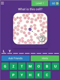 Hematology Quiz Screen Shot 7