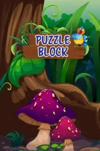 Puzzle Block Screen Shot 2