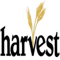 Harvest Trivia Español